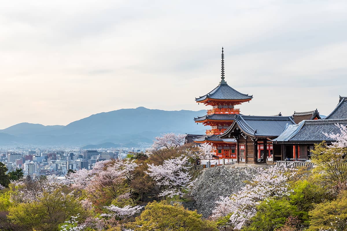 image - Where to Stay in Kyoto During Cherry Blossom Season?