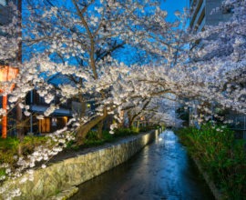 花衣 – はなごろも 〈一棟貸し町家〉