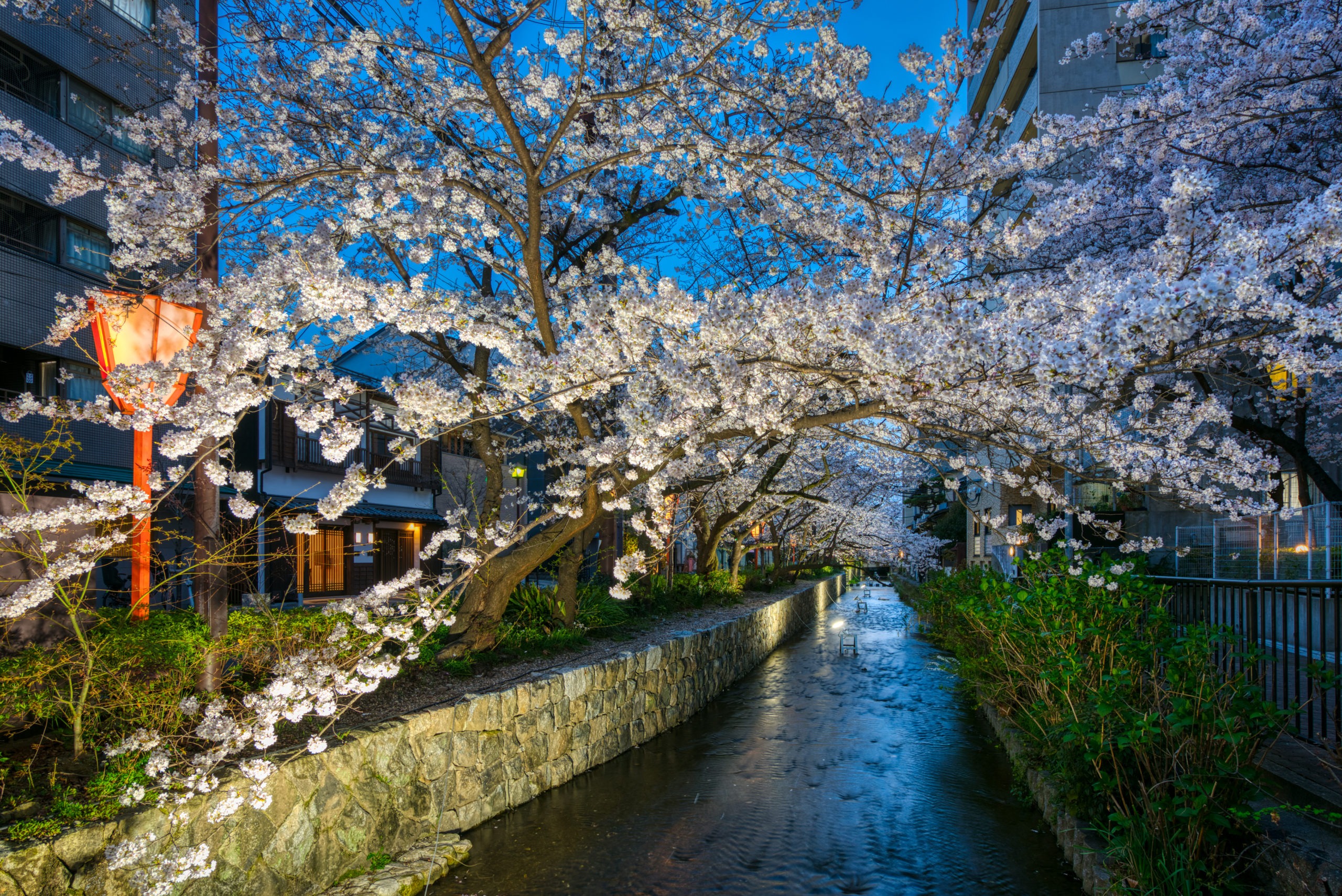 花篝 – はなかがり 〈一棟貸し町家〉