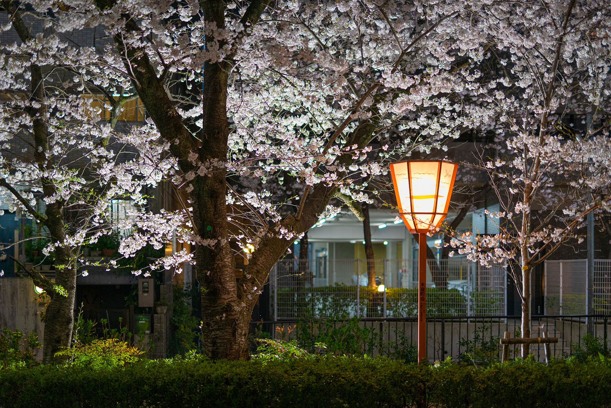 花篝 – はなかがり 〈一棟貸し町家〉