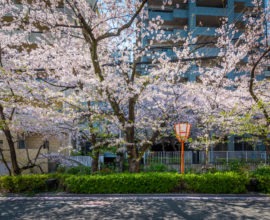 花衣 – はなごろも 〈一棟貸し町家〉