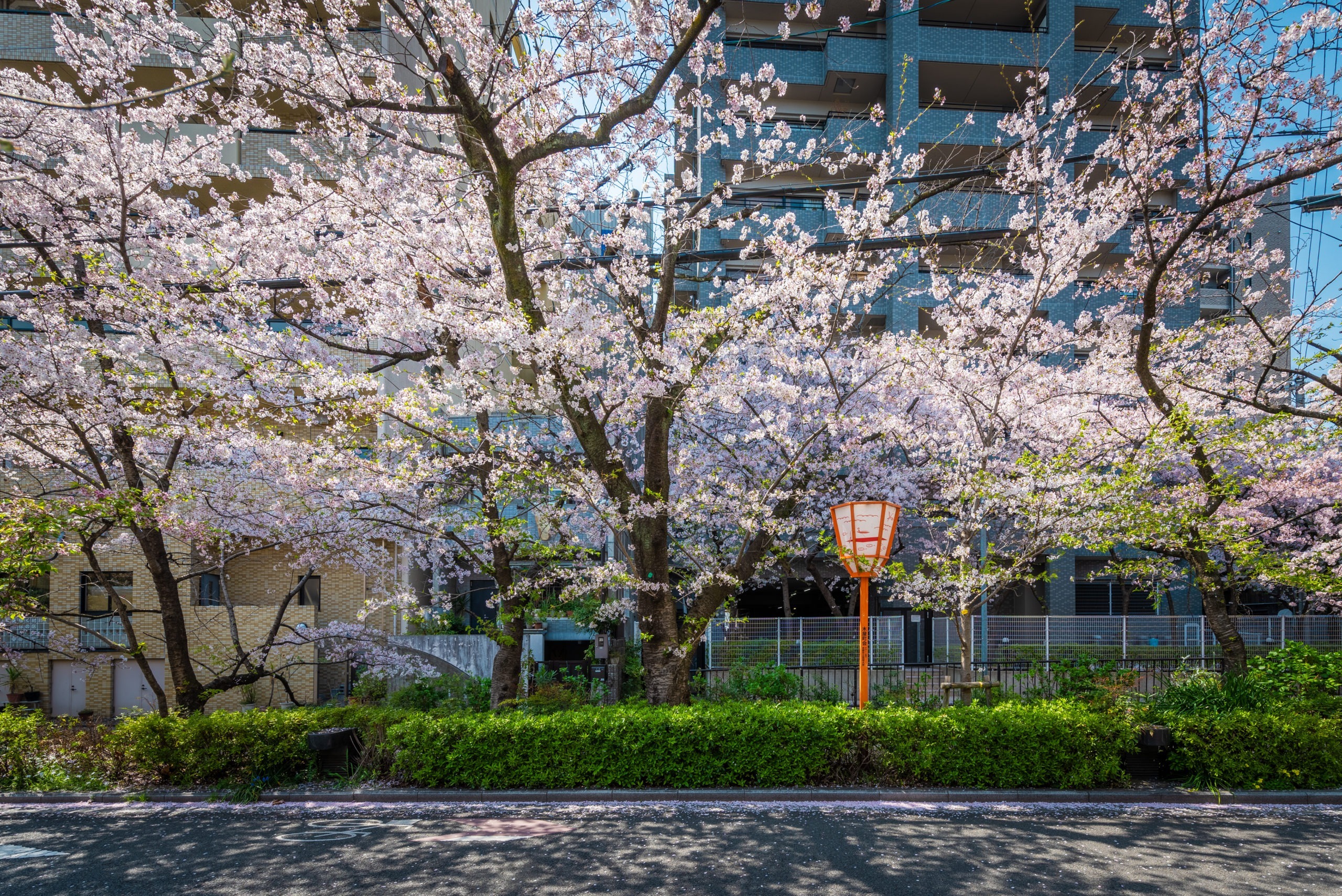 花篝 – はなかがり 〈一棟貸し町家〉