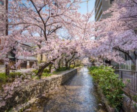 花衣 – はなごろも 〈一棟貸し町家〉