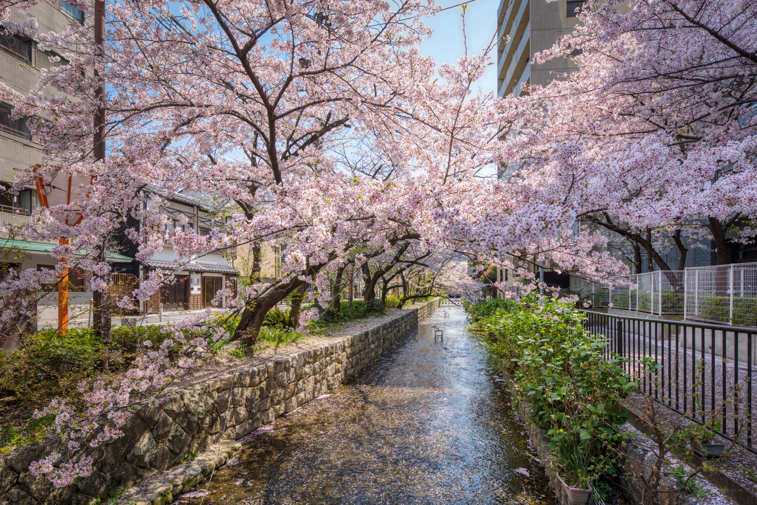 花衣 – はなごろも 〈一棟貸し町家〉