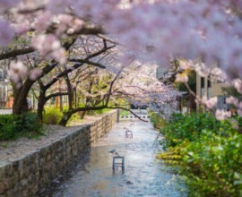 花衣 – はなごろも 〈一棟貸し町家〉