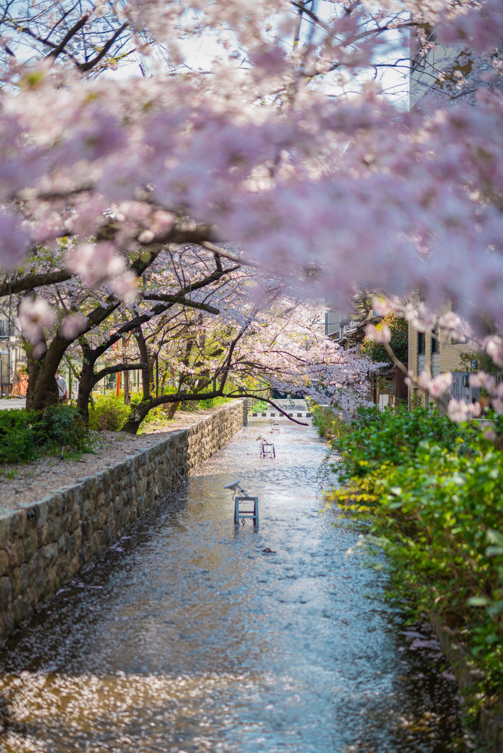 花衣 – はなごろも 〈一棟貸し町家〉