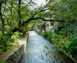 花篝 – はなかがり 〈一棟貸し町家〉