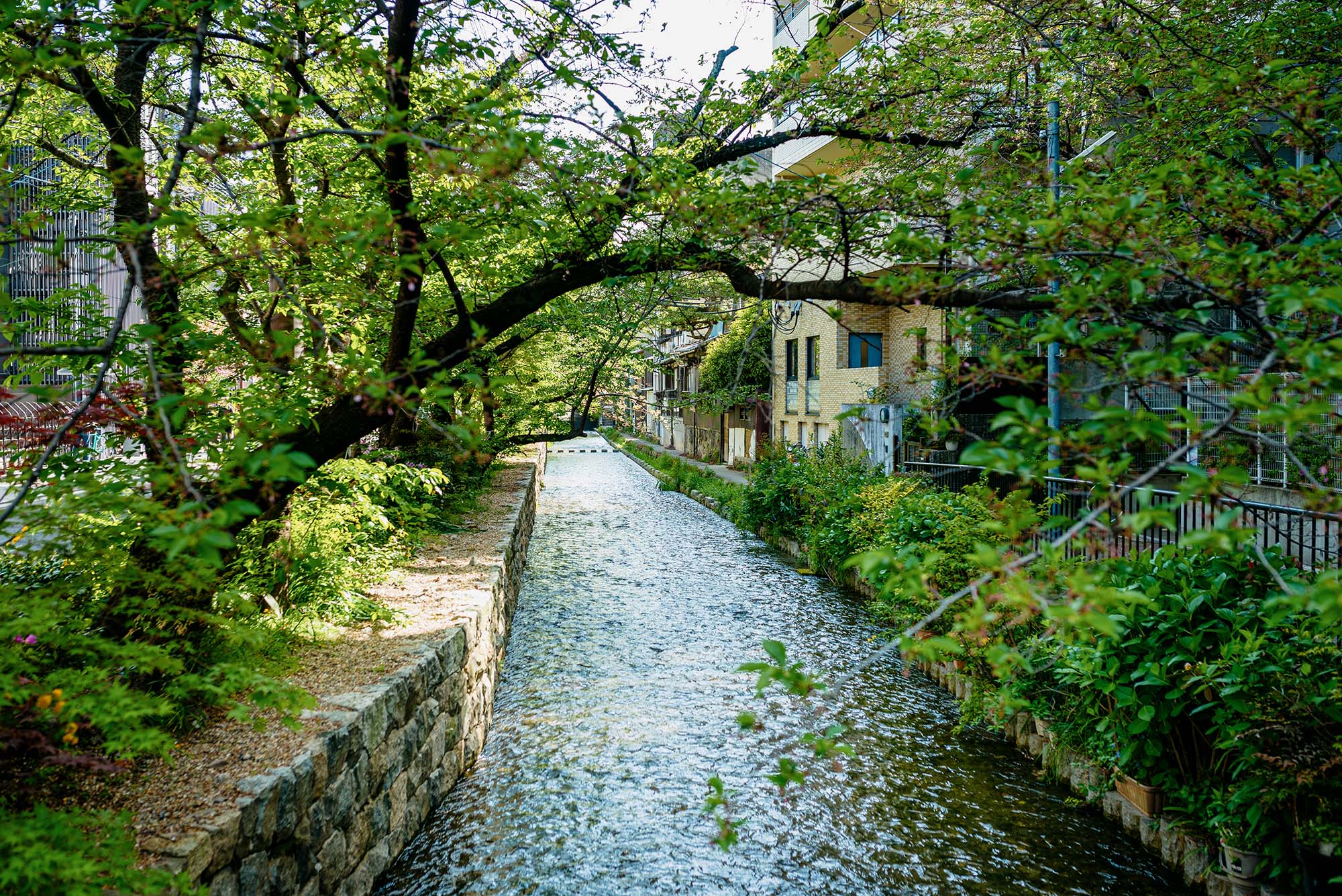 花衣 – はなごろも 〈一棟貸し町家〉