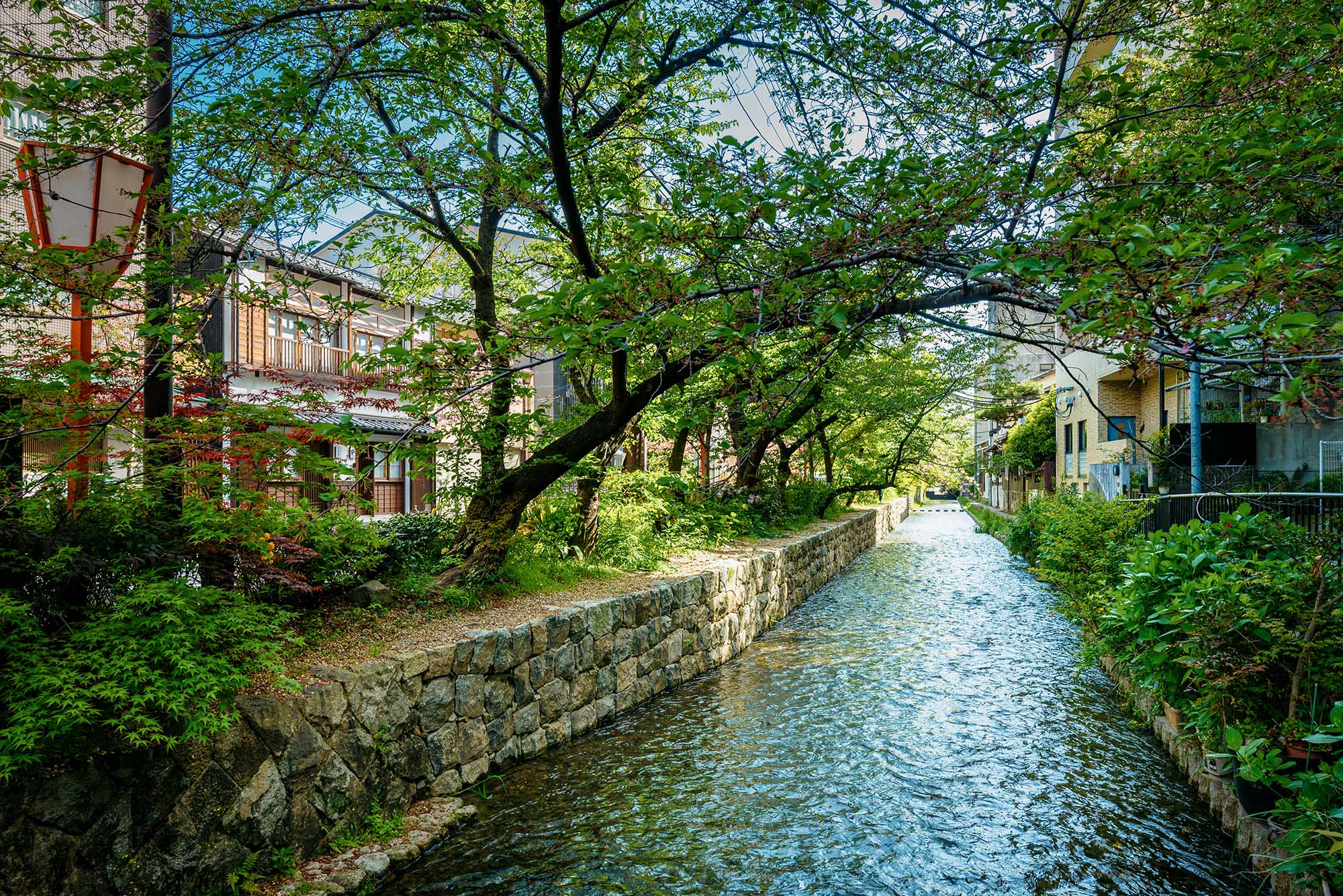 花篝 – はなかがり 〈一棟貸し町家〉