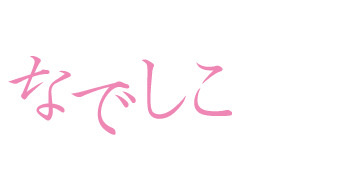 京宿庵 なでしこ白川 〈一棟貸し町家〉