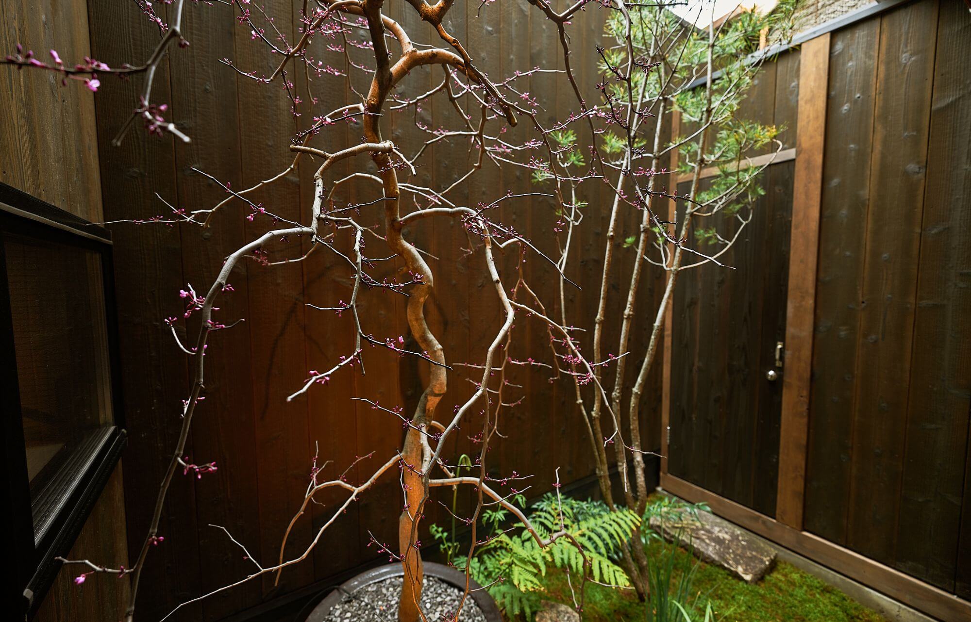 たそかれ 〈一棟貸し町家〉
