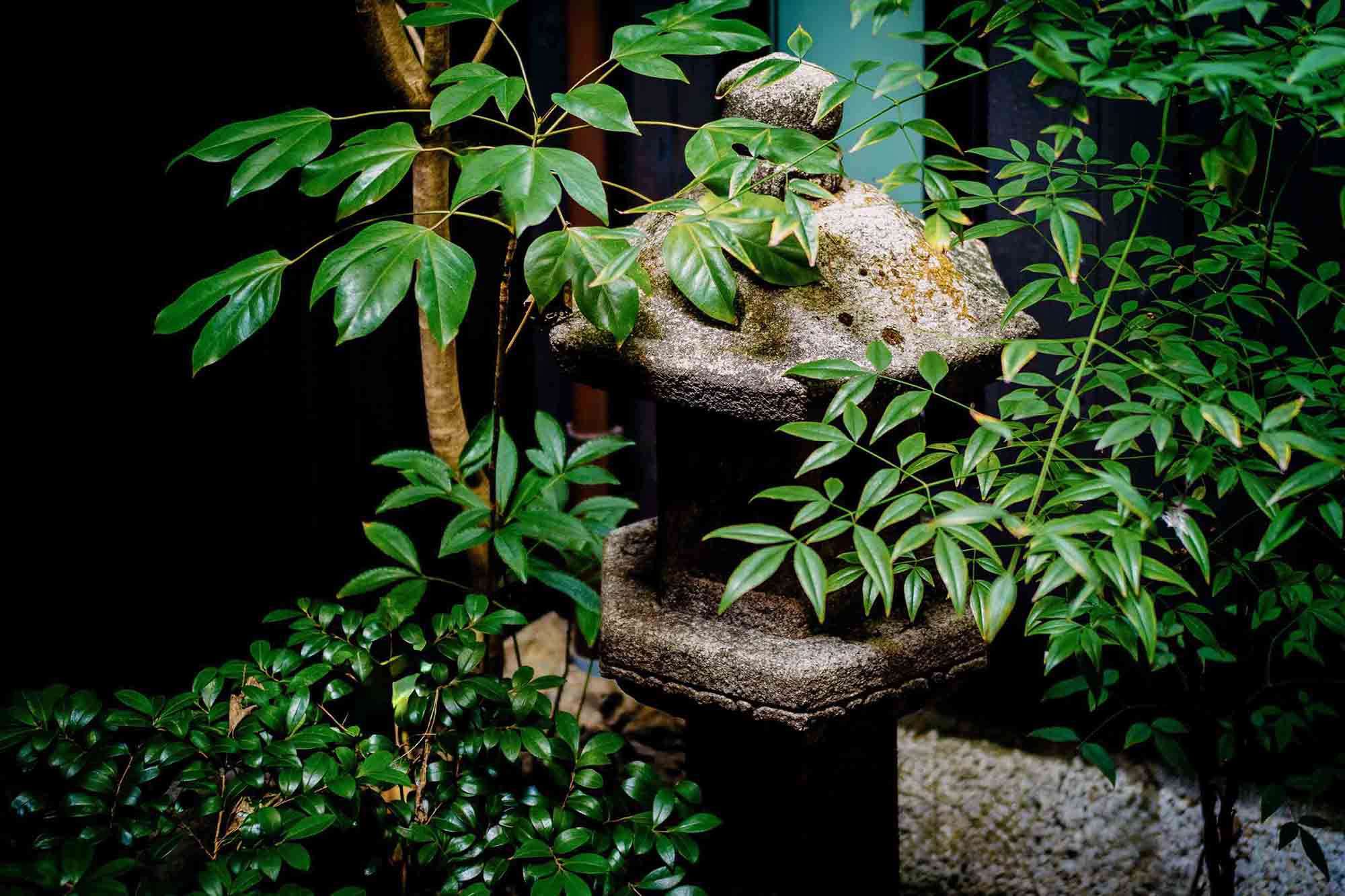 めい華 〈一棟貸し町家〉