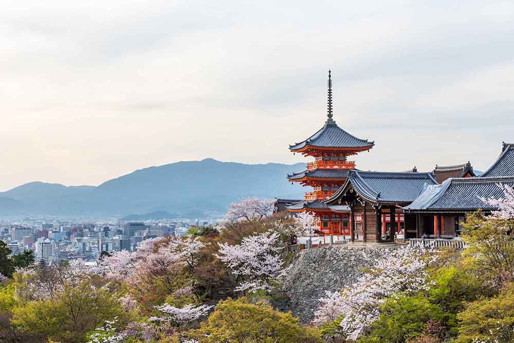 めい華 〈一棟貸し町家〉